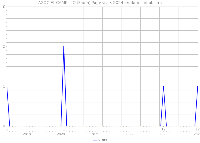 ASOC EL CAMPILLO (Spain) Page visits 2024 