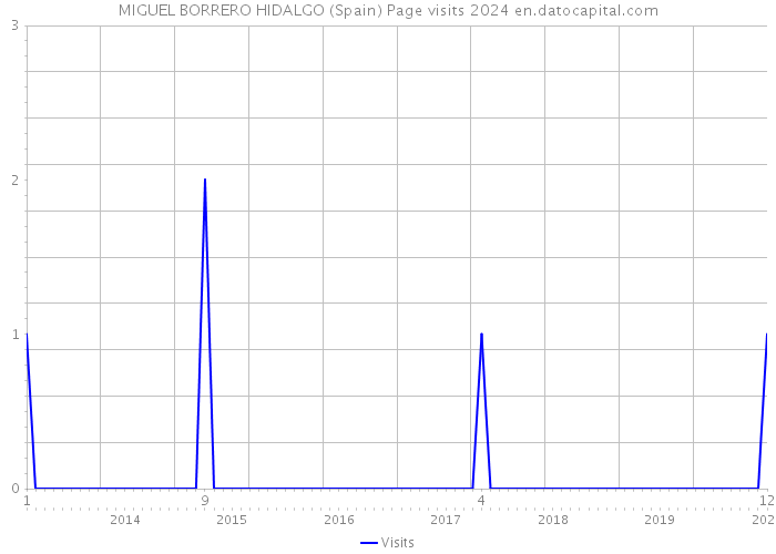 MIGUEL BORRERO HIDALGO (Spain) Page visits 2024 
