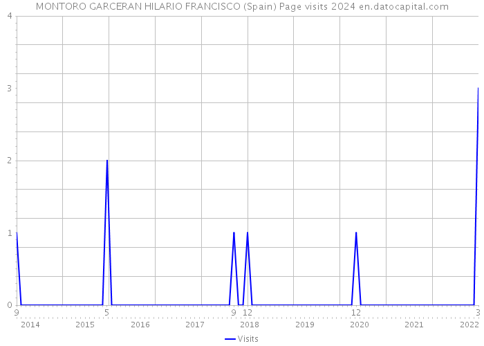 MONTORO GARCERAN HILARIO FRANCISCO (Spain) Page visits 2024 