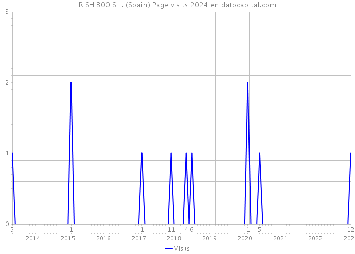 RISH 300 S.L. (Spain) Page visits 2024 
