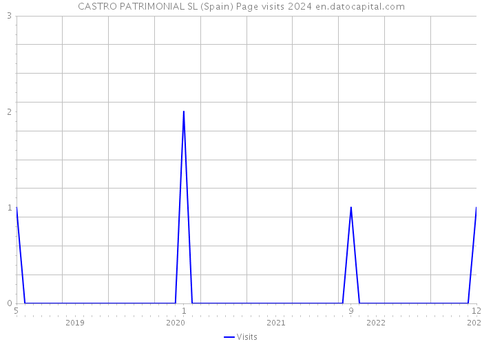 CASTRO PATRIMONIAL SL (Spain) Page visits 2024 