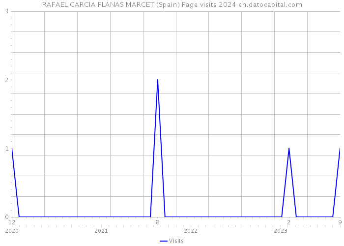 RAFAEL GARCIA PLANAS MARCET (Spain) Page visits 2024 