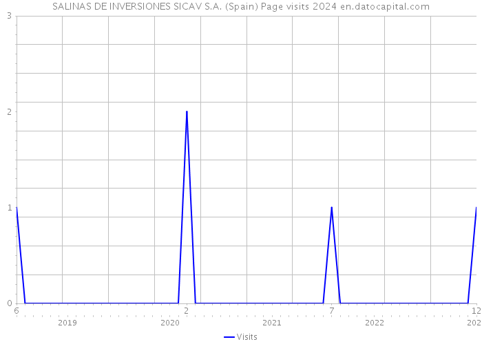 SALINAS DE INVERSIONES SICAV S.A. (Spain) Page visits 2024 