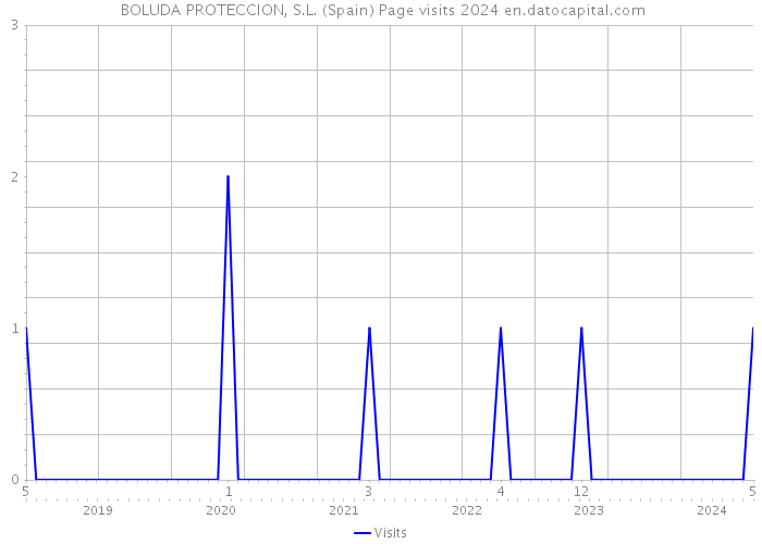  BOLUDA PROTECCION, S.L. (Spain) Page visits 2024 