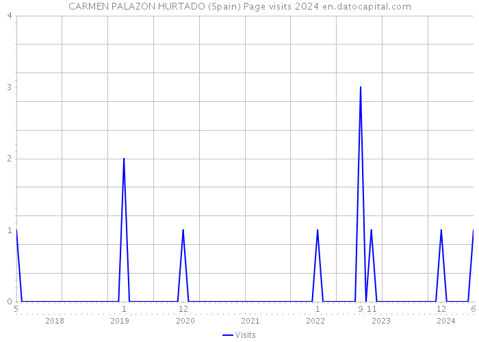 CARMEN PALAZON HURTADO (Spain) Page visits 2024 