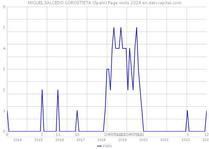 MIGUEL SALCEDO GOROSTIETA (Spain) Page visits 2024 