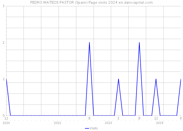 PEDRO MATEOS PASTOR (Spain) Page visits 2024 
