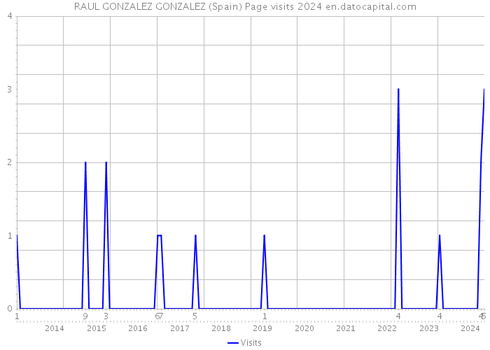 RAUL GONZALEZ GONZALEZ (Spain) Page visits 2024 