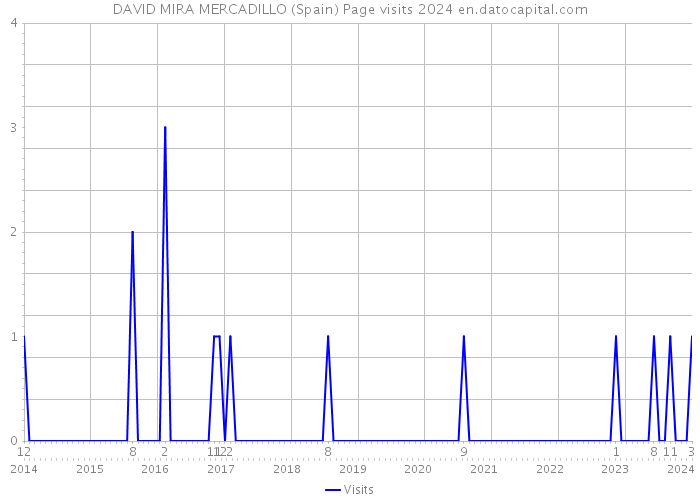 DAVID MIRA MERCADILLO (Spain) Page visits 2024 