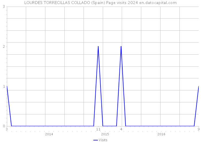 LOURDES TORRECILLAS COLLADO (Spain) Page visits 2024 