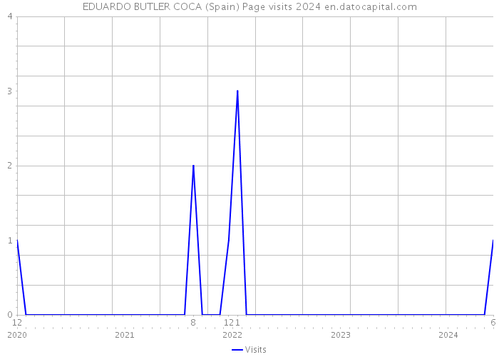 EDUARDO BUTLER COCA (Spain) Page visits 2024 