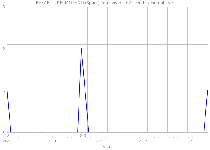 RAFAEL LUNA MOYANO (Spain) Page visits 2024 