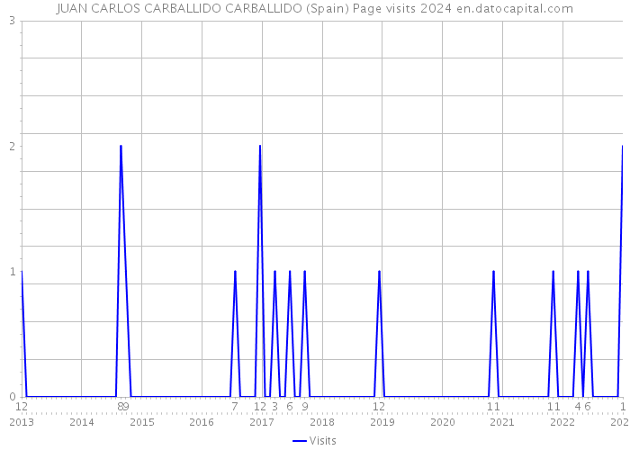 JUAN CARLOS CARBALLIDO CARBALLIDO (Spain) Page visits 2024 