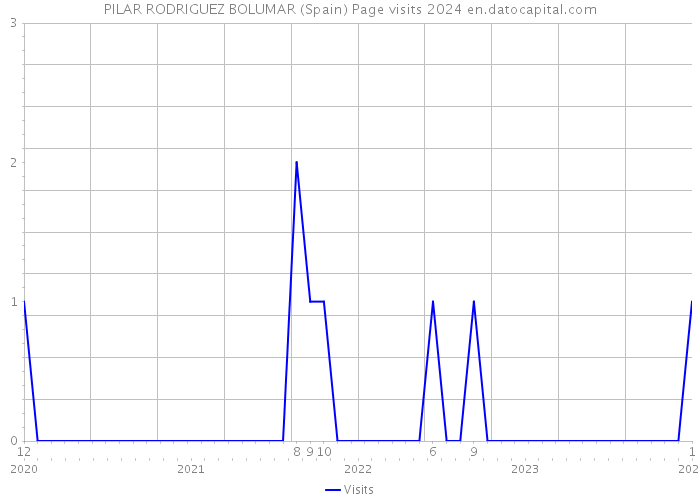 PILAR RODRIGUEZ BOLUMAR (Spain) Page visits 2024 