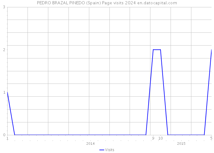 PEDRO BRAZAL PINEDO (Spain) Page visits 2024 