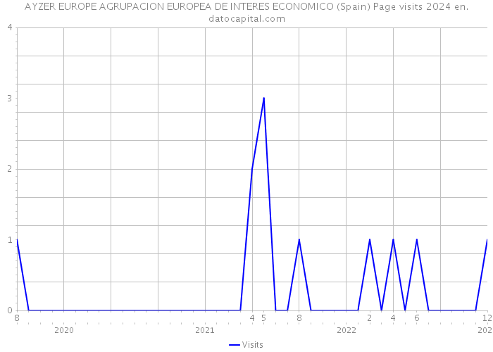 AYZER EUROPE AGRUPACION EUROPEA DE INTERES ECONOMICO (Spain) Page visits 2024 