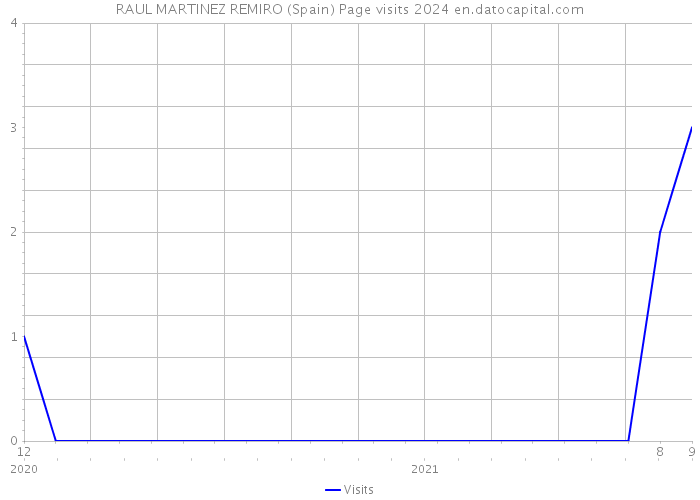 RAUL MARTINEZ REMIRO (Spain) Page visits 2024 