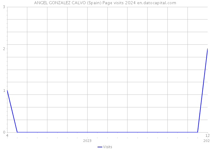 ANGEL GONZALEZ CALVO (Spain) Page visits 2024 