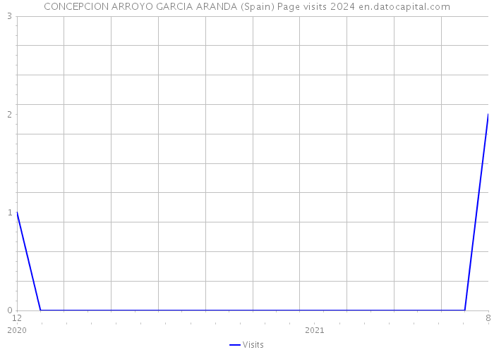 CONCEPCION ARROYO GARCIA ARANDA (Spain) Page visits 2024 