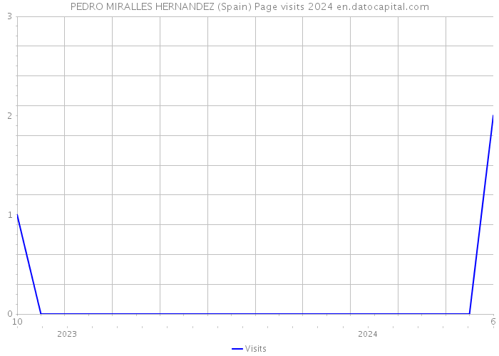 PEDRO MIRALLES HERNANDEZ (Spain) Page visits 2024 