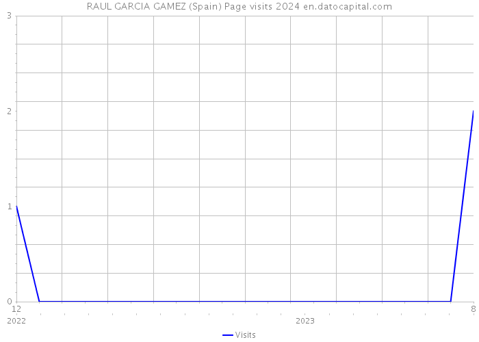 RAUL GARCIA GAMEZ (Spain) Page visits 2024 