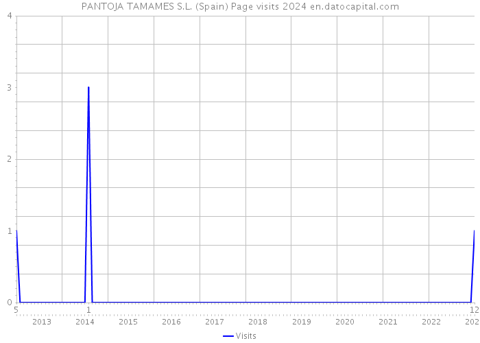 PANTOJA TAMAMES S.L. (Spain) Page visits 2024 