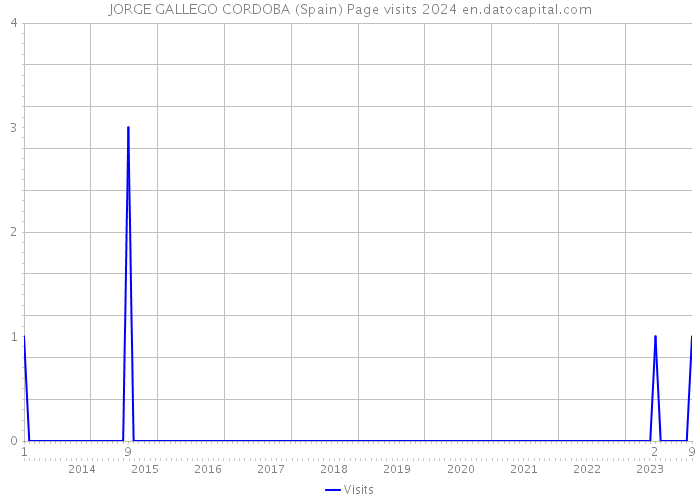 JORGE GALLEGO CORDOBA (Spain) Page visits 2024 