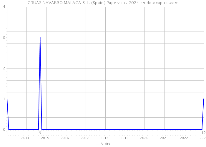 GRUAS NAVARRO MALAGA SLL. (Spain) Page visits 2024 