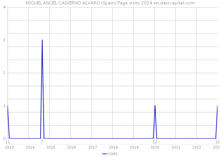 MIGUEL ANGEL CADIERNO ALVARO (Spain) Page visits 2024 