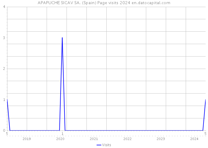 APAPUCHE SICAV SA. (Spain) Page visits 2024 