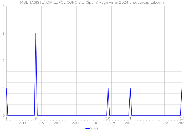 MULTIASISTENCIA EL POLIGONO S.L. (Spain) Page visits 2024 