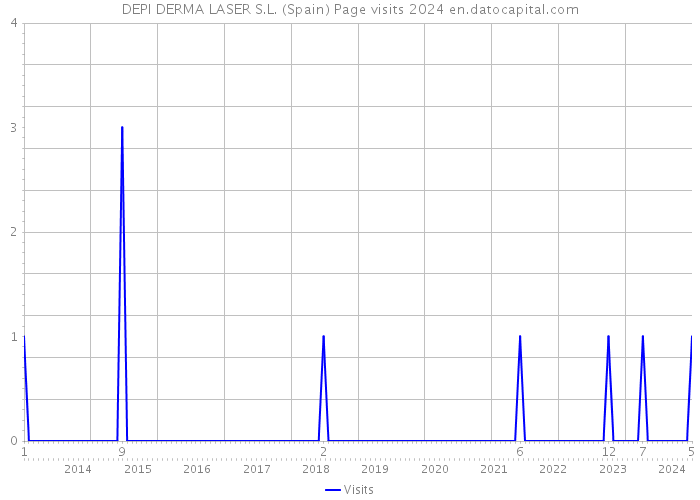 DEPI DERMA LASER S.L. (Spain) Page visits 2024 