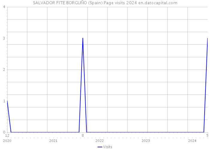 SALVADOR FITE BORGUÑO (Spain) Page visits 2024 