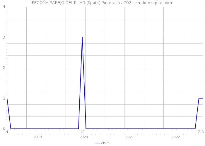 BEGOÑA PAREJO DEL PILAR (Spain) Page visits 2024 