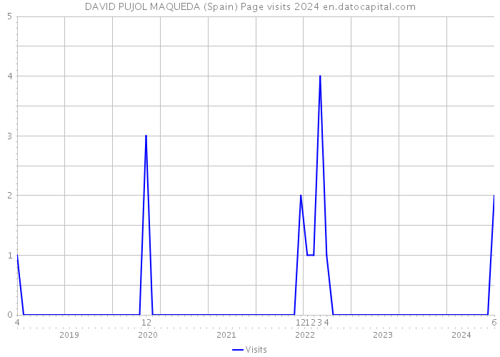 DAVID PUJOL MAQUEDA (Spain) Page visits 2024 