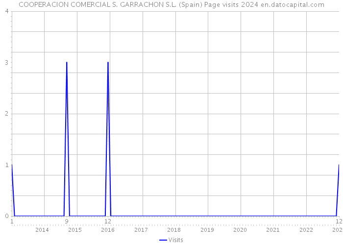 COOPERACION COMERCIAL S. GARRACHON S.L. (Spain) Page visits 2024 