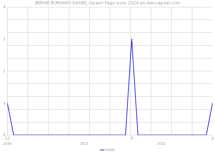 BERNIE BURNARD DANIEL (Spain) Page visits 2024 