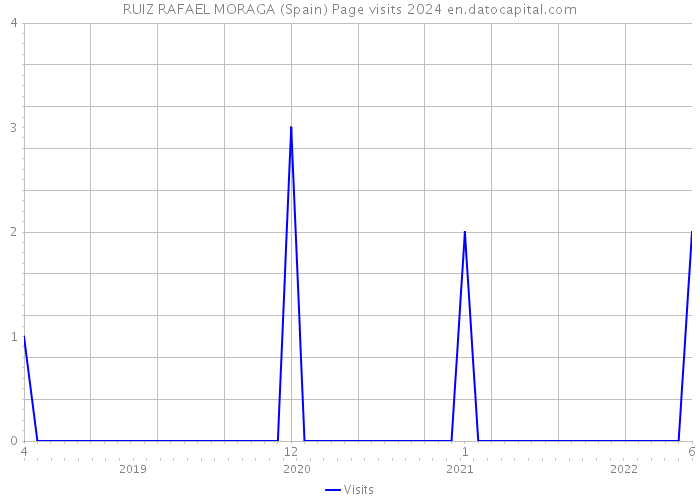 RUIZ RAFAEL MORAGA (Spain) Page visits 2024 