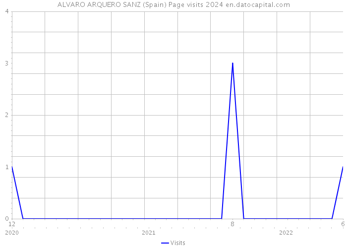 ALVARO ARQUERO SANZ (Spain) Page visits 2024 