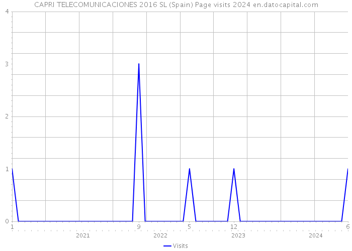 CAPRI TELECOMUNICACIONES 2016 SL (Spain) Page visits 2024 