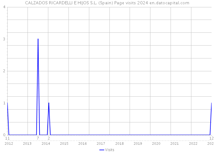 CALZADOS RICARDELLI E HIJOS S.L. (Spain) Page visits 2024 