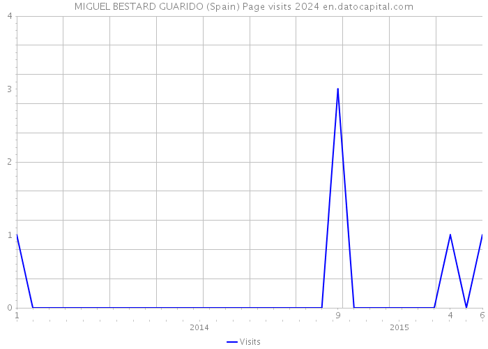 MIGUEL BESTARD GUARIDO (Spain) Page visits 2024 