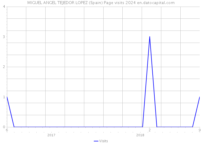 MIGUEL ANGEL TEJEDOR LOPEZ (Spain) Page visits 2024 