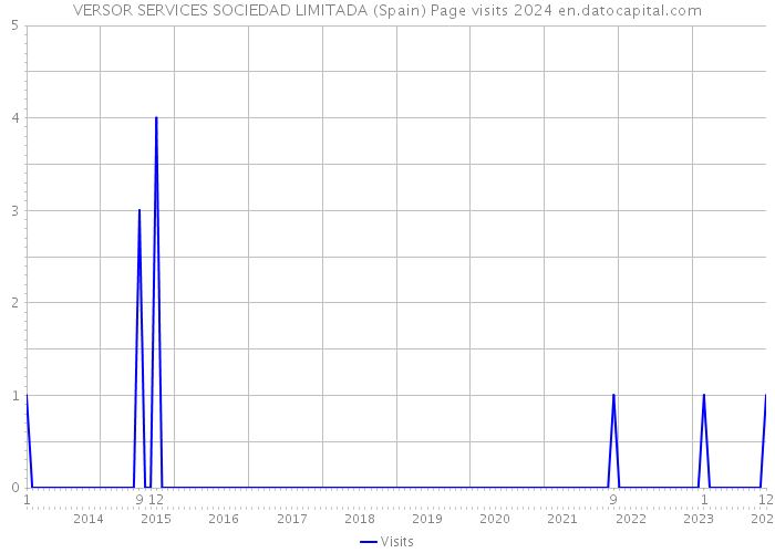 VERSOR SERVICES SOCIEDAD LIMITADA (Spain) Page visits 2024 