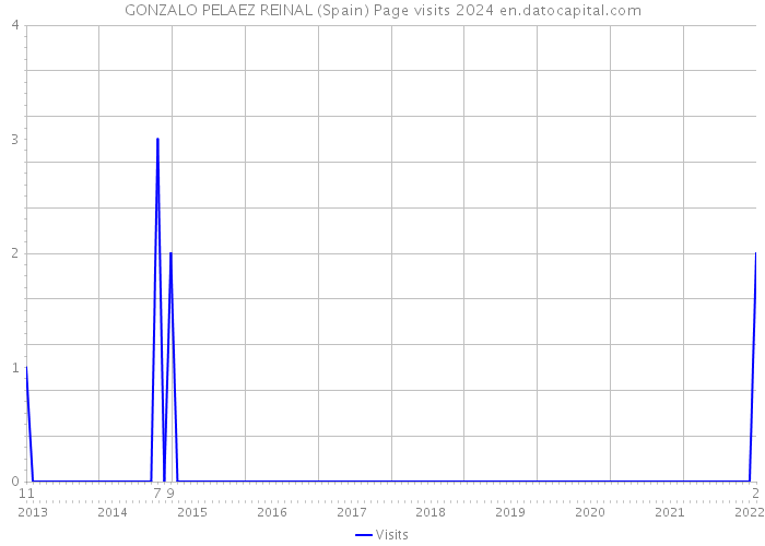 GONZALO PELAEZ REINAL (Spain) Page visits 2024 