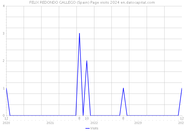 FELIX REDONDO GALLEGO (Spain) Page visits 2024 