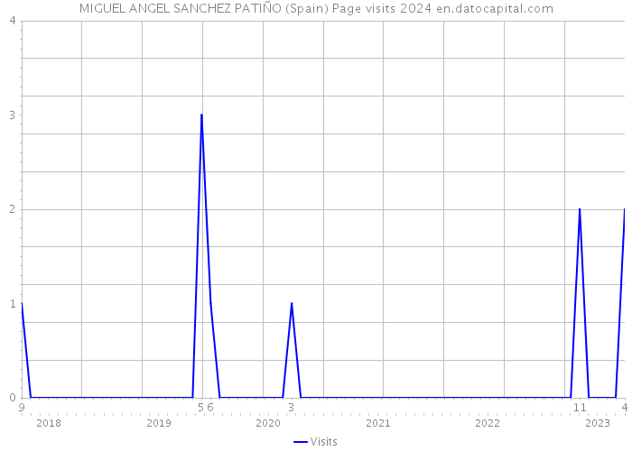 MIGUEL ANGEL SANCHEZ PATIÑO (Spain) Page visits 2024 