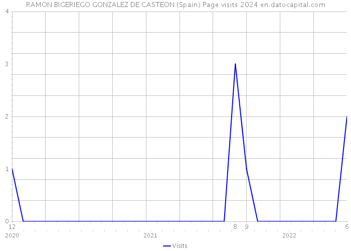 RAMON BIGERIEGO GONZALEZ DE CASTEON (Spain) Page visits 2024 