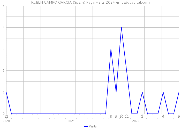 RUBEN CAMPO GARCIA (Spain) Page visits 2024 