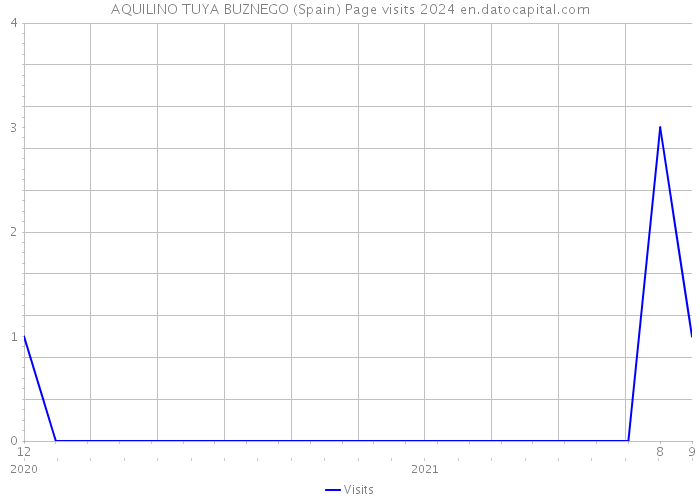AQUILINO TUYA BUZNEGO (Spain) Page visits 2024 